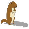 Groundhog Shadow
