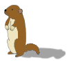 Groundhog Shadow