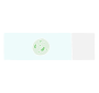 Microscope Slide