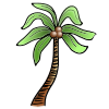 Palm Tree