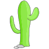 Cactus Picture