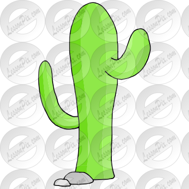 Cactus Picture