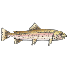 Who Swallowed a Trout
