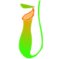 Pitcher Plant