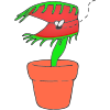 Venus Flytrap