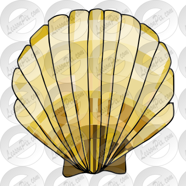 Shell