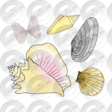 Shells