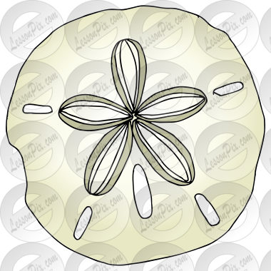 Sanddollar