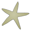 Starfish