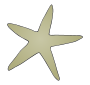 Starfish