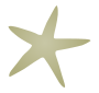 Starfish