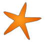 Starfish