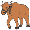 Ox