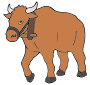 Ox