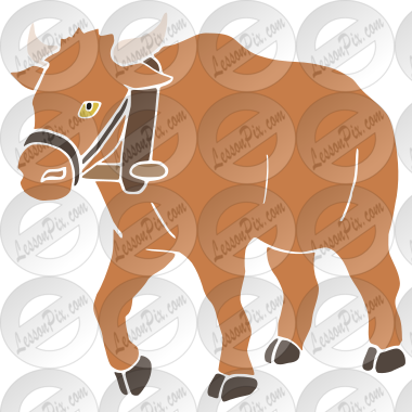 Ox