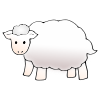 Sheep Picture