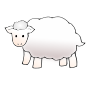 Sheep Picture