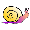 Slither+like+a+sea+snail Picture
