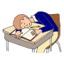 Lay on Desk  Picture