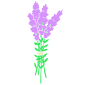 Lavender  Stencil