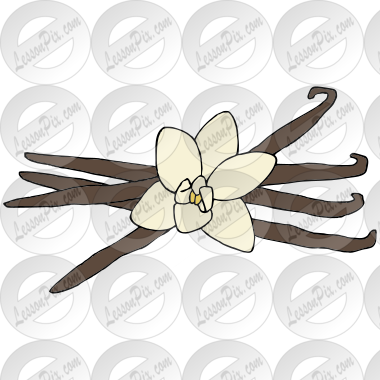 Vanilla