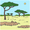 Savanna