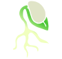 Seedling