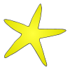 yellow+starfish Picture