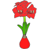 Amaryllis