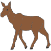 Moose
