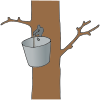 Tree Tapping