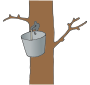 Tree Tapping Picture