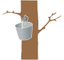 Tree Tapping