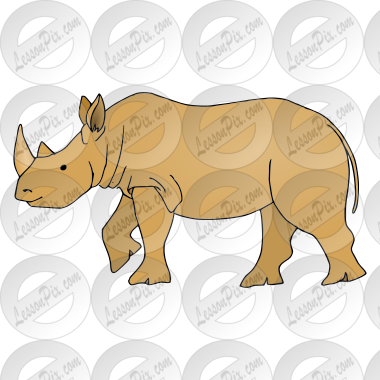Rhinoceros