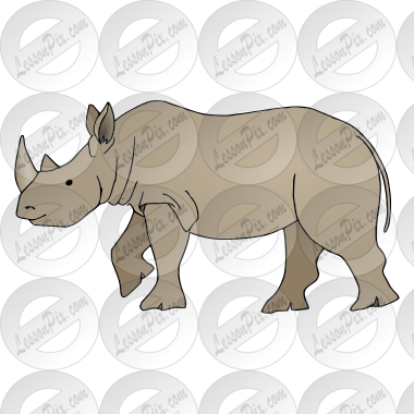 Rhinoceros