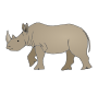 Rhinoceros Picture