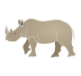 Rhinoceros