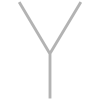 Y