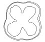 Bell Pepper  Outline
