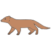 Mongoose