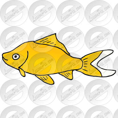 Goldfish