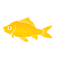 Goldfish