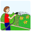 Water the Garden