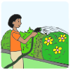 Water the Garden