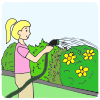 Water the Garden