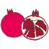 Pomegranate Picture