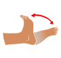 Ankle Pumps