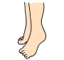 Tiptoes