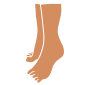 Tiptoes