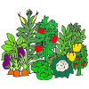 Vegetable Garden